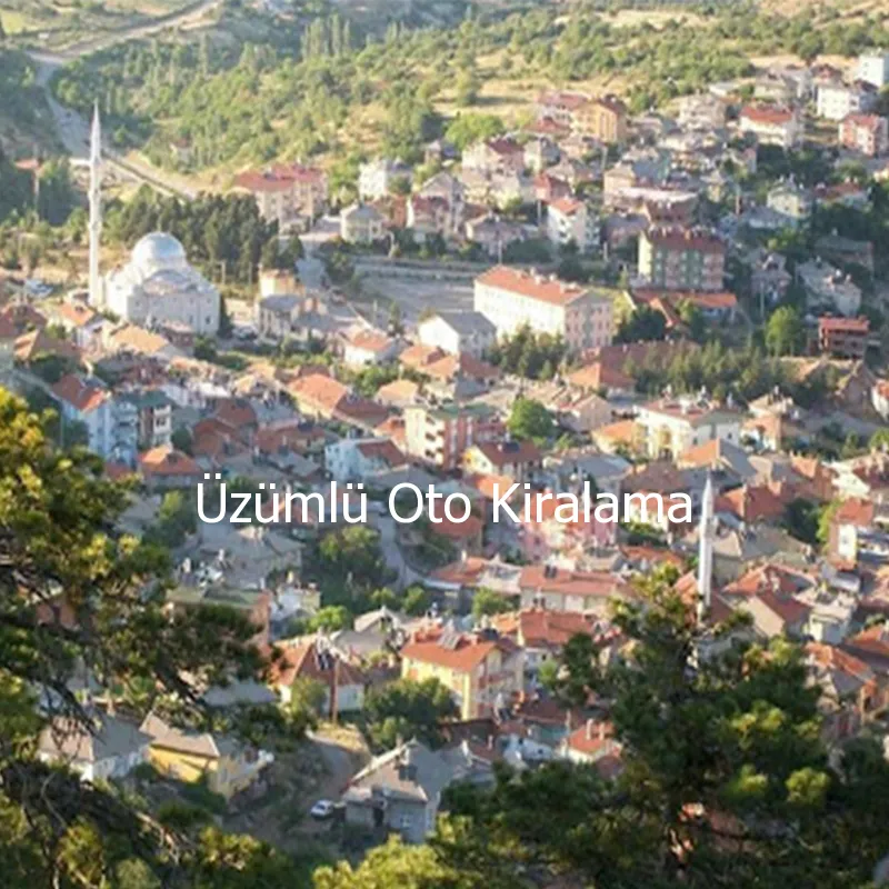 zml Oto Kiralama